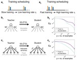 Brain experiments imply adaptation mechanisms which outperform common AI learning algorithms